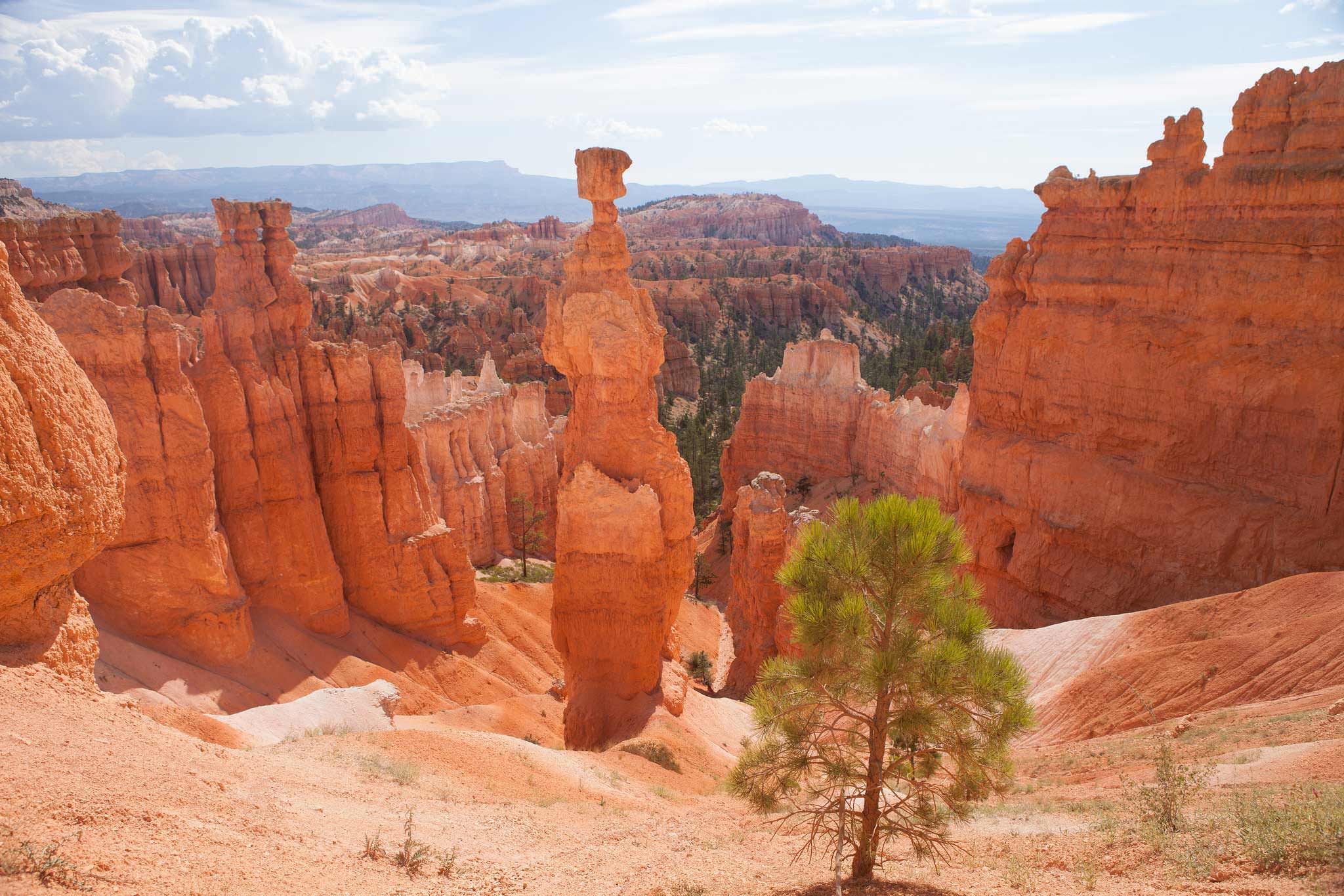 Bryce-canyon-overlook