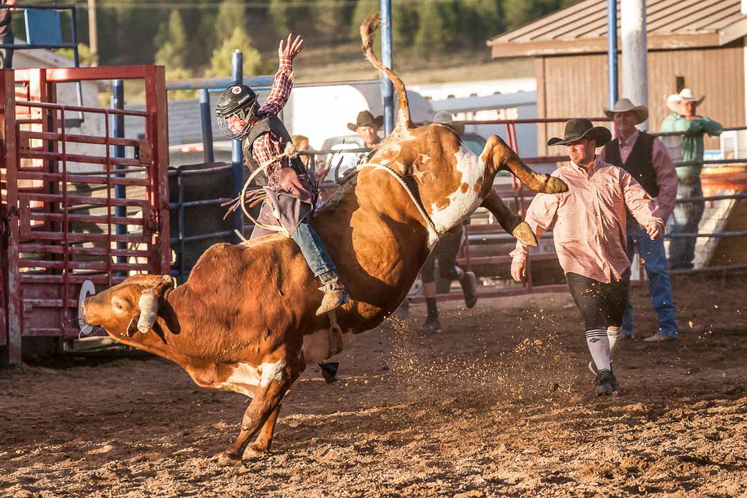Bryce Canyon Rodeo Bull Riding