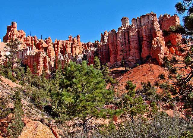 Red Utah | Canyon Dixie National Forest