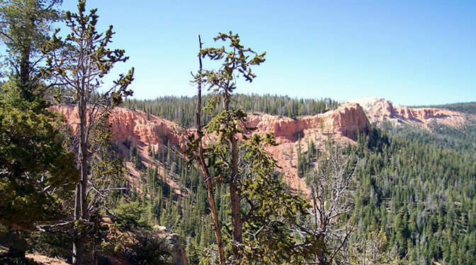 Top of Bryce Canyon