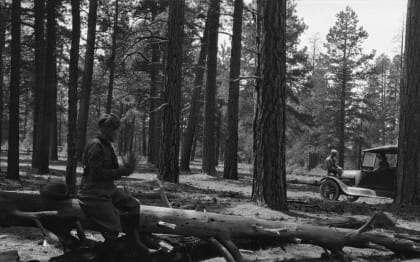 Resting in the shade 1920's