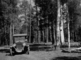 Driving the Forest Roads 1920