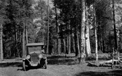 Driving the Forest Roads 1920