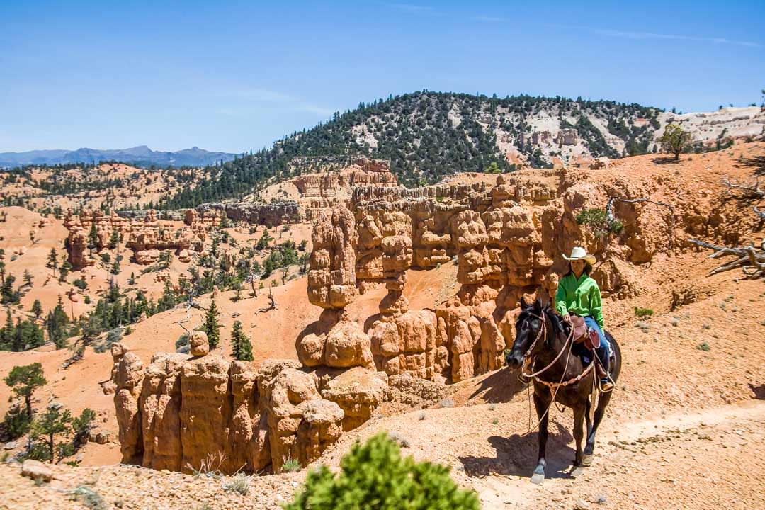 Horseback Riding Near Bryce Canyon