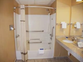 Handicap Bathtub
