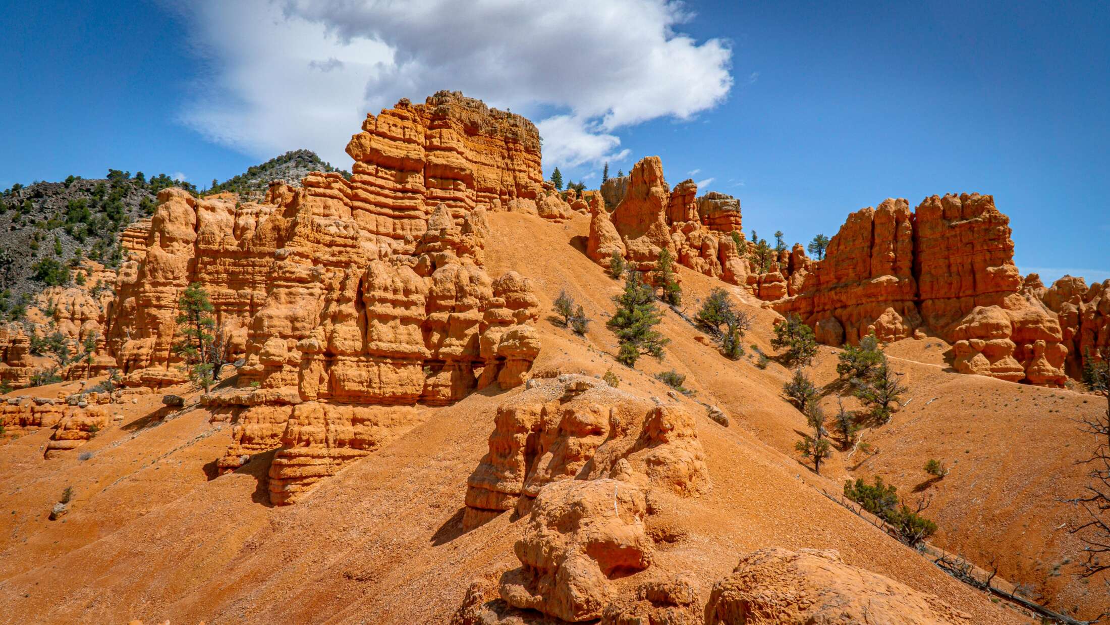 redcanyonutah